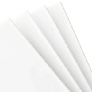 PCTFE (Polychlorotrifluoroethylene)